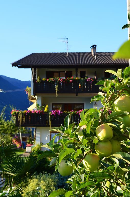 Zimmervermietung Groeberhof Schenna Exteriér fotografie